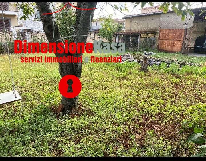 Affitto affitto, Saviano foto