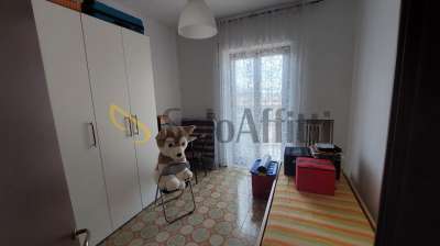Affitto Case, Frosinone