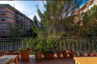 Vendita Trivani, Roma