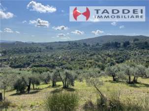 Vendita TERRENO AGRICOLO, Scandicci Vendita TERRENO AGRICOLO, Scandicci