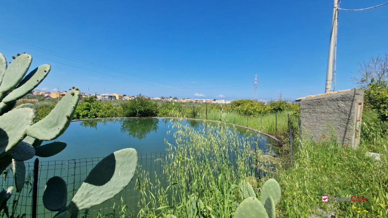 Vendita Esavani, Milazzo foto