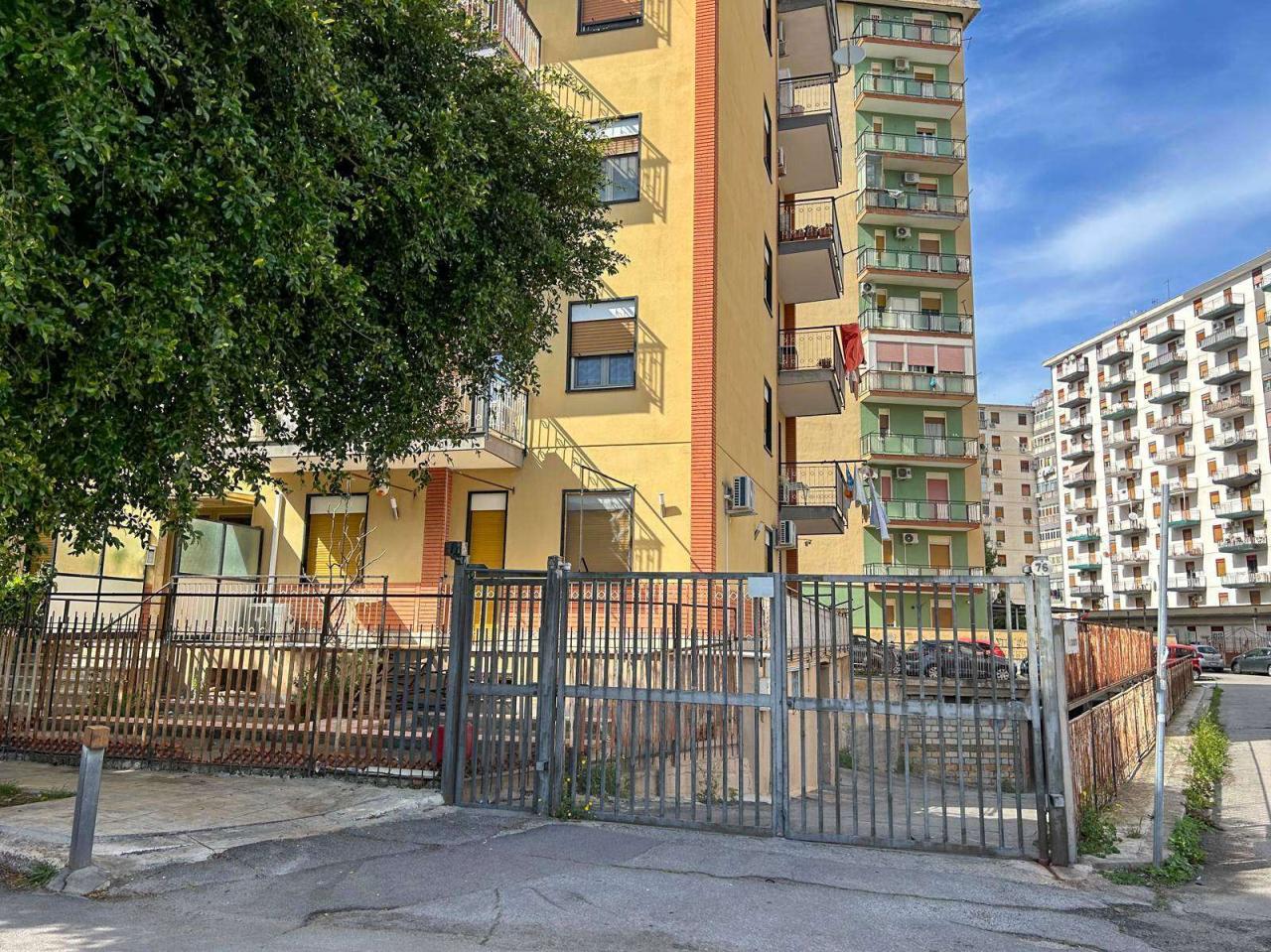 Vendita Quadrivani, Palermo foto