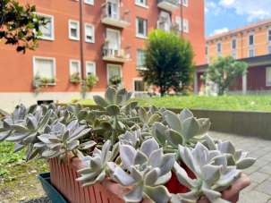 Affitto Appartamento, Milano