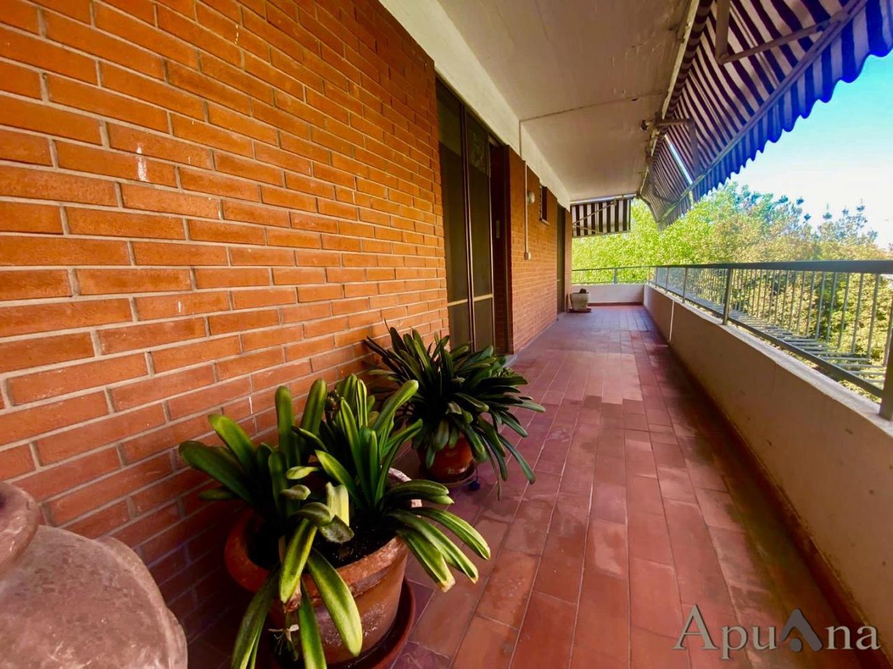 Vendita Appartamento, Massa Vendita Appartamento, Massa foto