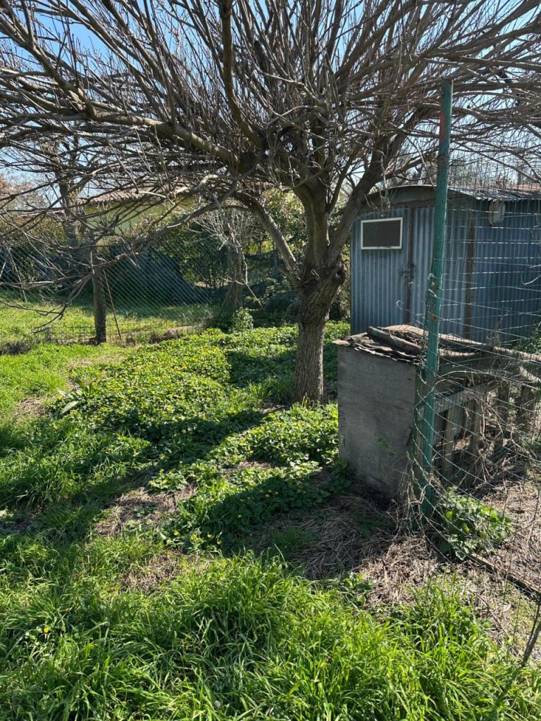 Vendita Altri immobili, Campiglia Marittima foto
