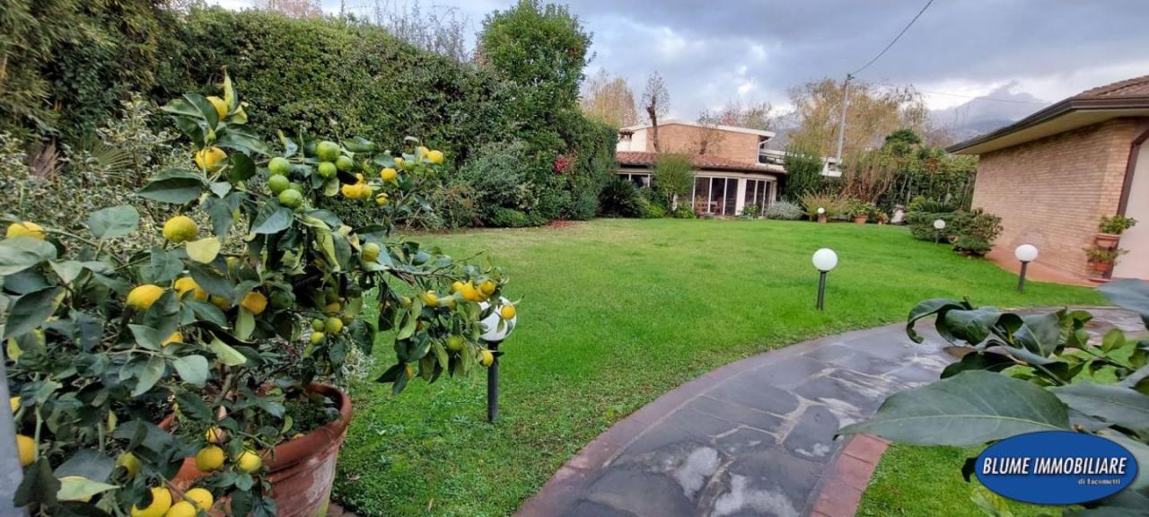 Vendita Villa, Pietrasanta foto