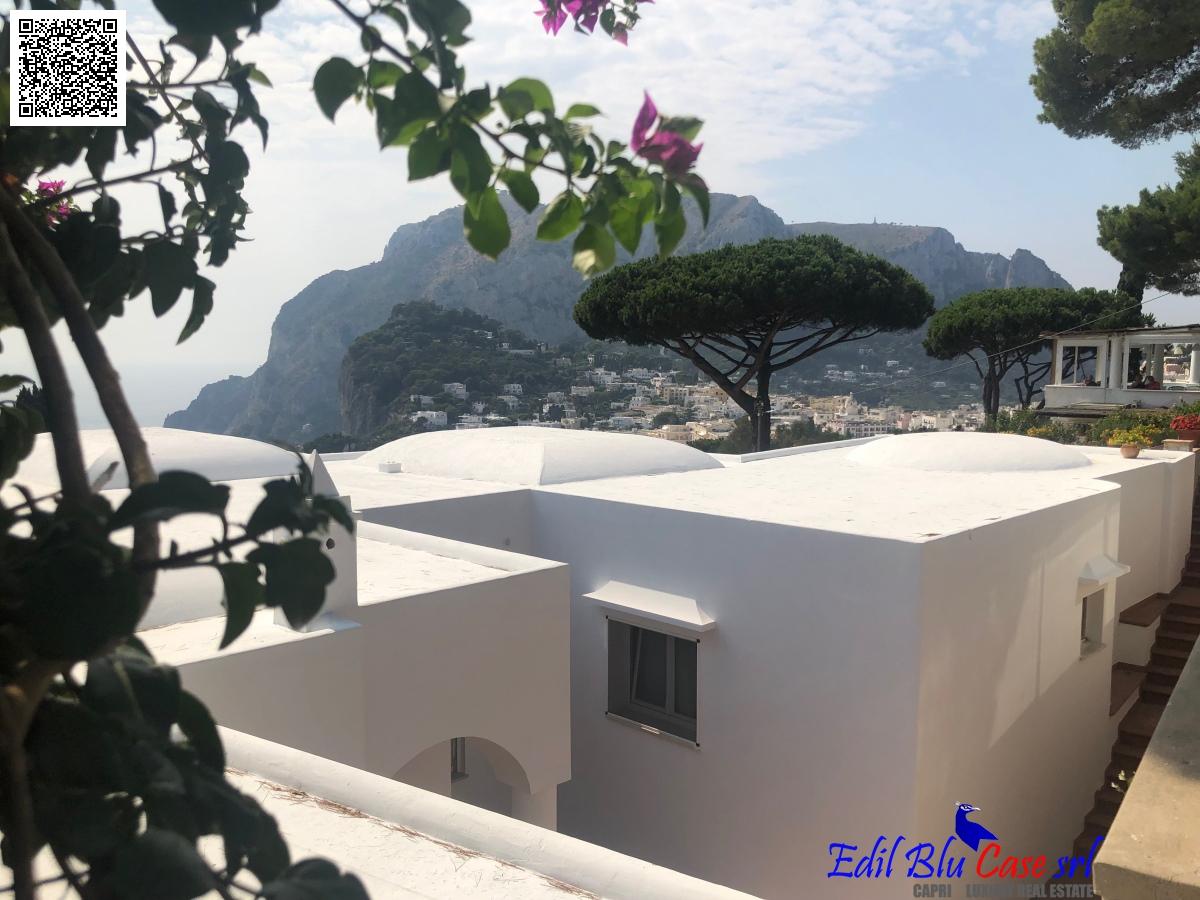 Vendita Multivani, Capri foto