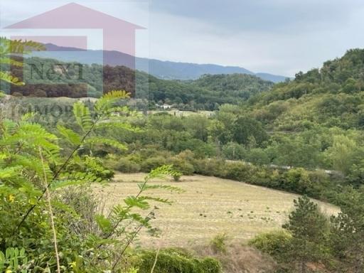 Vendita TERRENO AGRICOLO, Rignano sull'Arno foto