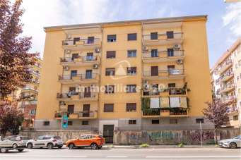 Vendita vendita, Cosenza