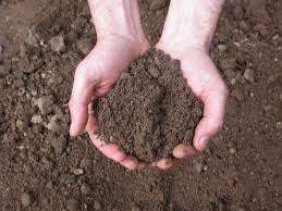 Vendita vendita, Marsala Vendita vendita, Marsala