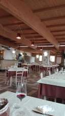 Vendita Quadrivani, Viareggio