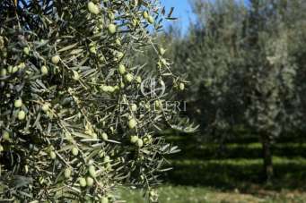 Vendita Altri immobili, Roccastrada Vendita Altri immobili, Roccastrada