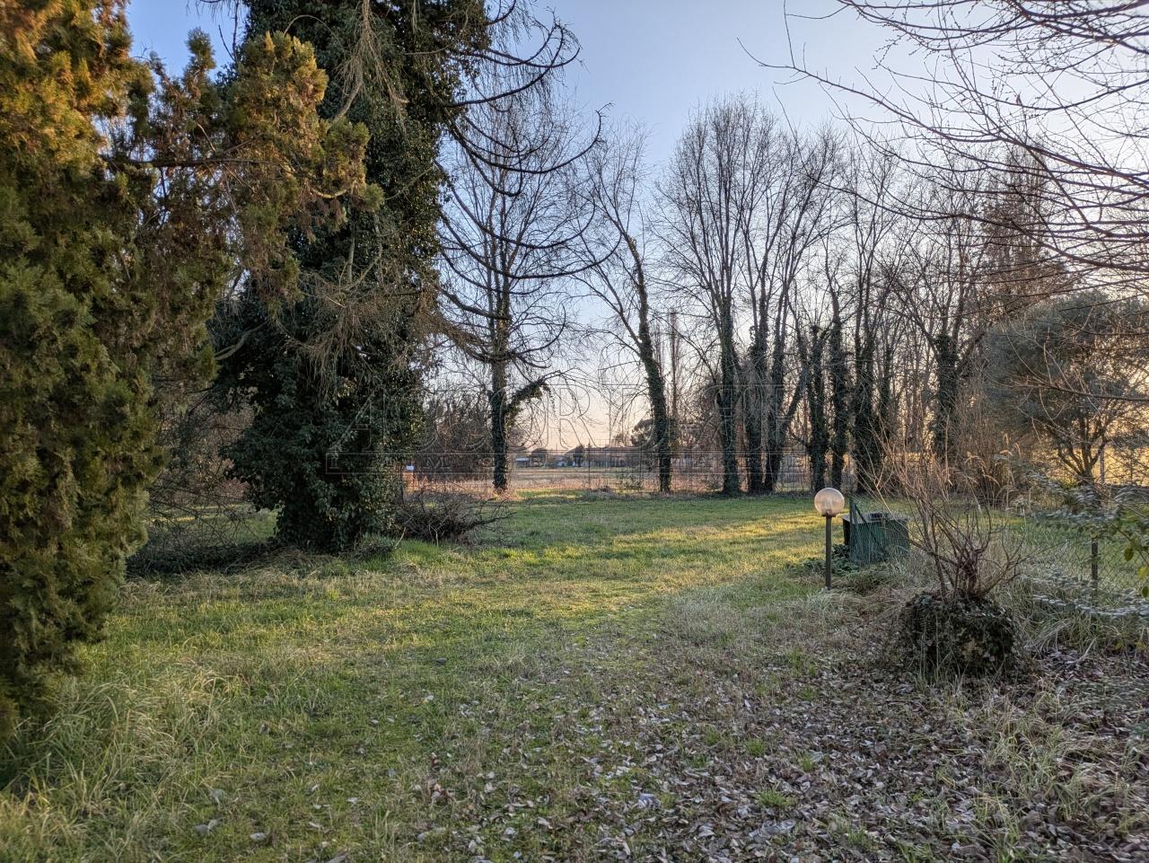 Vendita Terreni, Noventa Padovana Vendita Terreni, Noventa Padovana foto