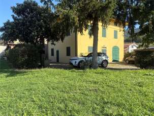 Vendita vendita, Pescia