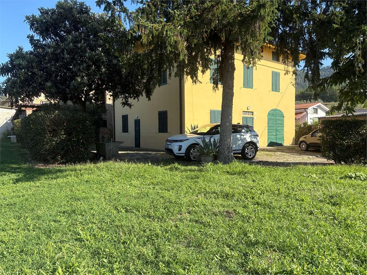 Vendita vendita, Pescia foto