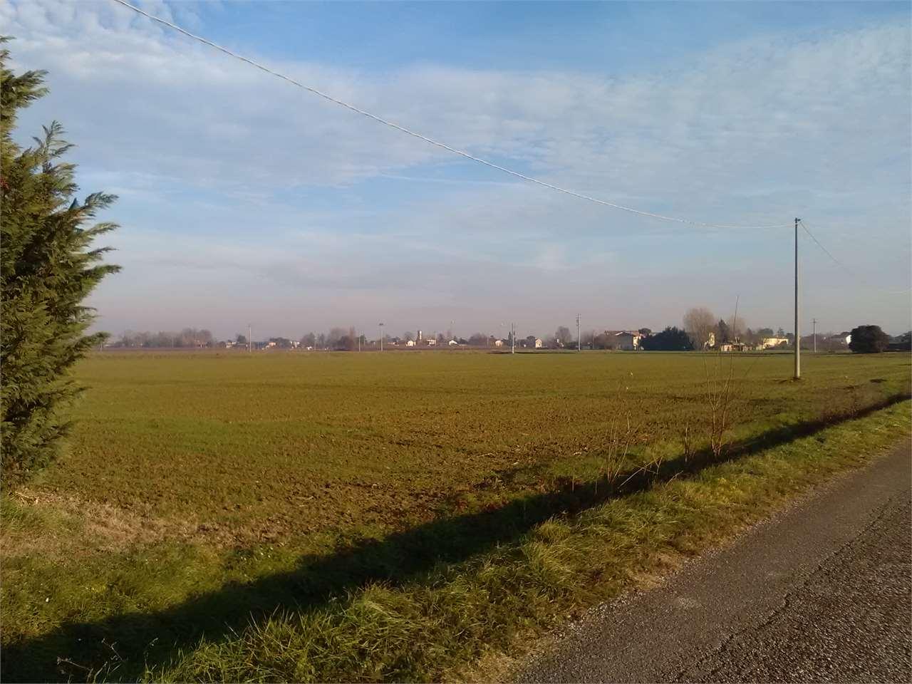 Vendita vendita, Ravenna foto