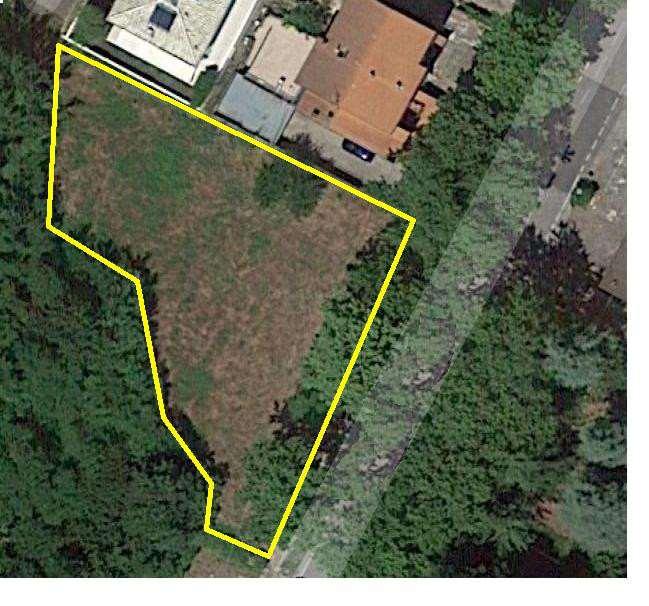 Vendita vendita, Predappio foto