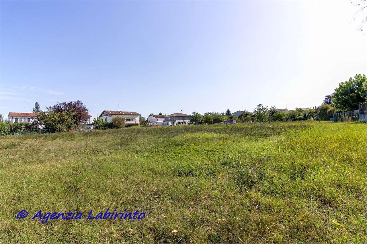 Vendita vendita, Ravenna foto