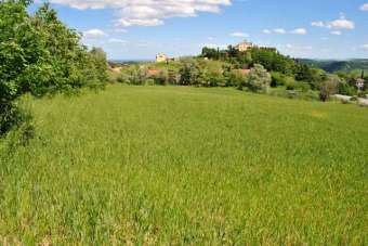 Vendita vendita, Castrocaro Terme e Terra del Sole Vendita vendita, Castrocaro Terme e Terra del Sole
