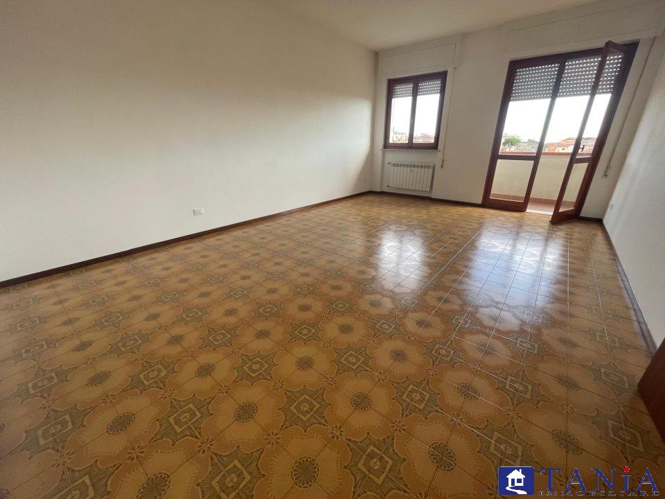 Vendita Quadrivani, Carrara foto