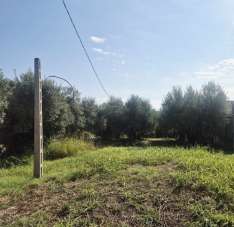 Vendita Loft, mansarde e attici, Torrevecchia Teatina Vendita Loft, mansarde e attici, Torrevecchia Teatina