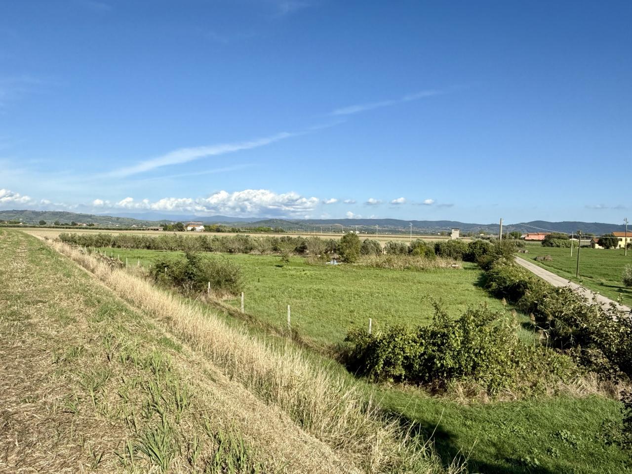 Vendita Terreno, Grosseto foto