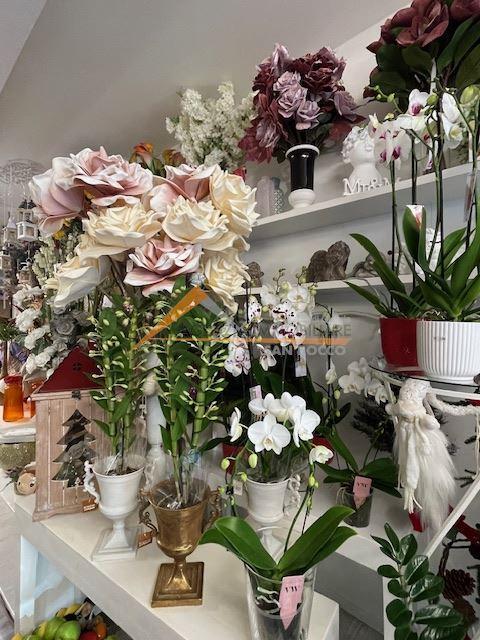 Affitto Negozio, Ravenna Affitto Negozio, Ravenna foto