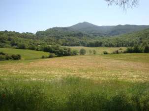 Vendita Case, Riparbella