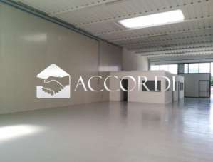 Affitto Ville, Conegliano