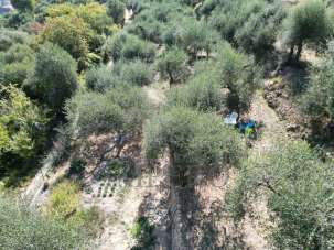 Vendita Monovano, Ventimiglia Vendita Monovano, Ventimiglia