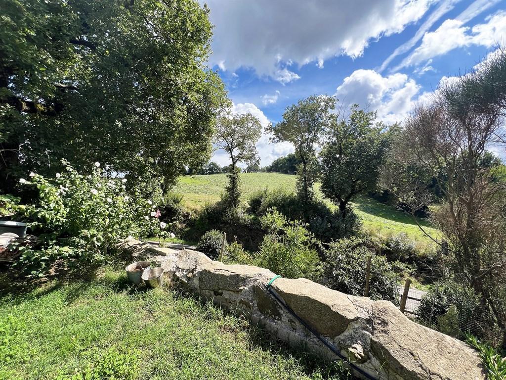 Vendita Villa bifamiliare, Scansano foto