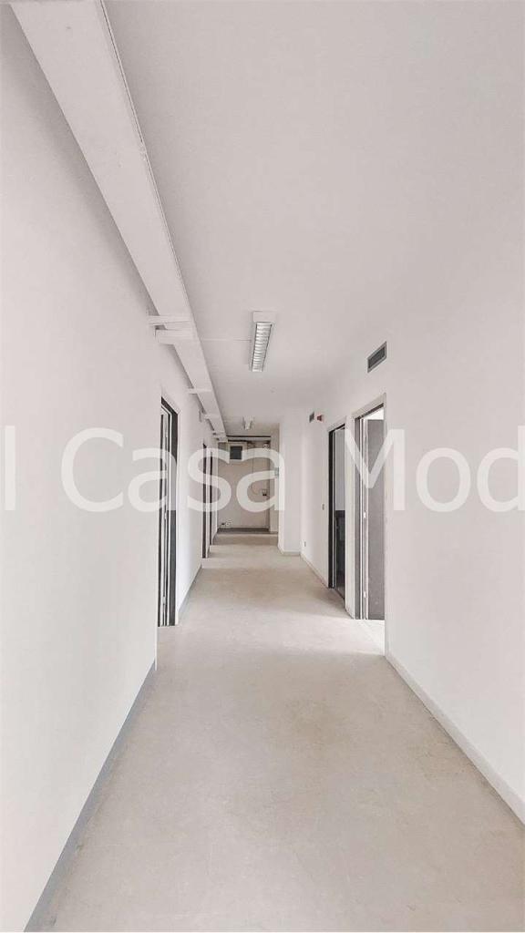 Vendita vendita, Modena foto