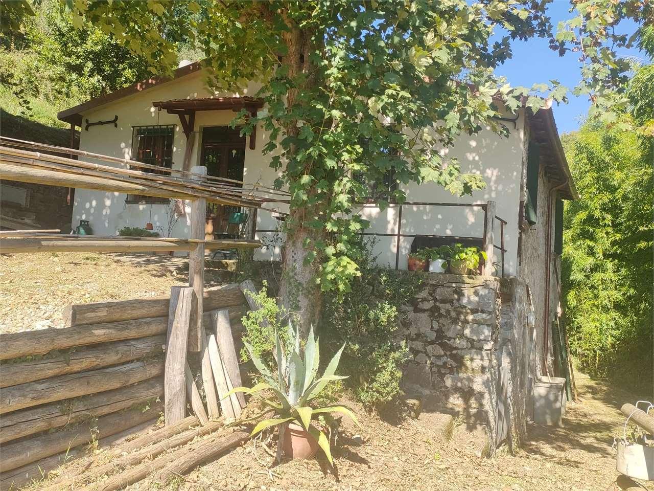 Vendita vendita, Barga foto