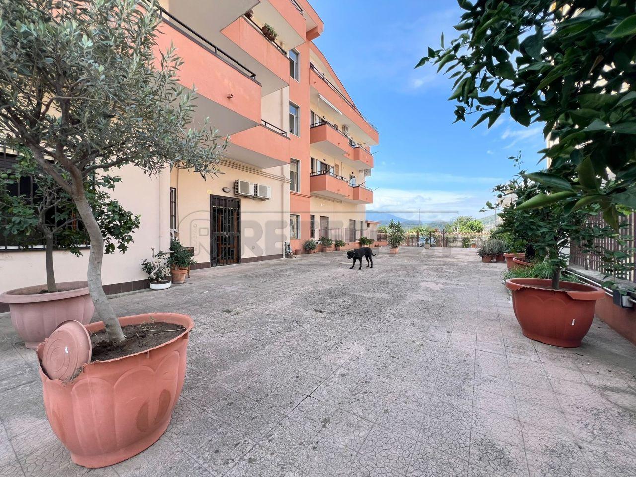 Vendita Trivani, Castel San Giorgio foto