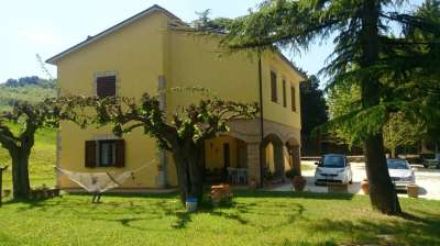 Vendita Multivani, Todi