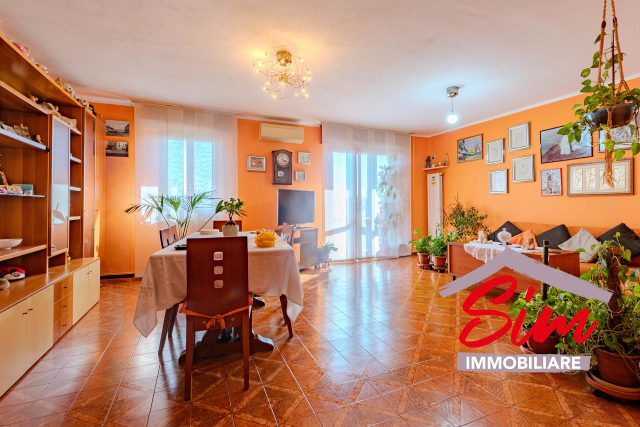 Vendita Esavani, Novara foto