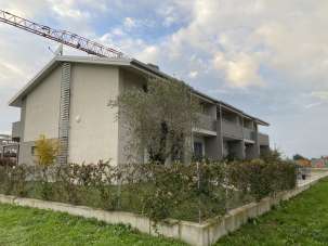 Vendita Quadrivani, Cesena
