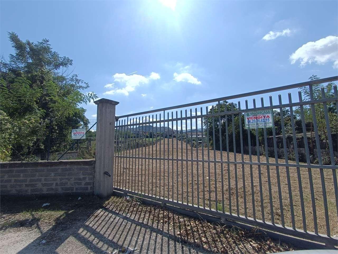 Vendita vendita, San Cesareo Vendita vendita, San Cesareo foto