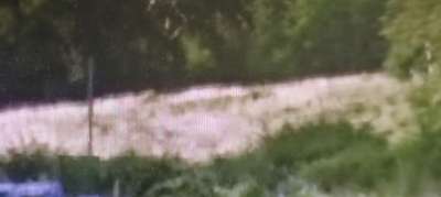 Vendita Altri immobili, Vicchio