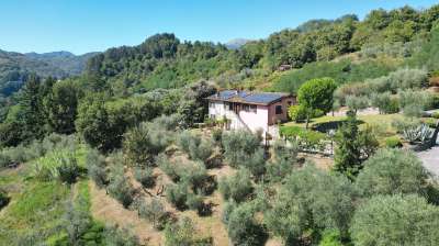 Vendita Multivani, Borgo a Mozzano