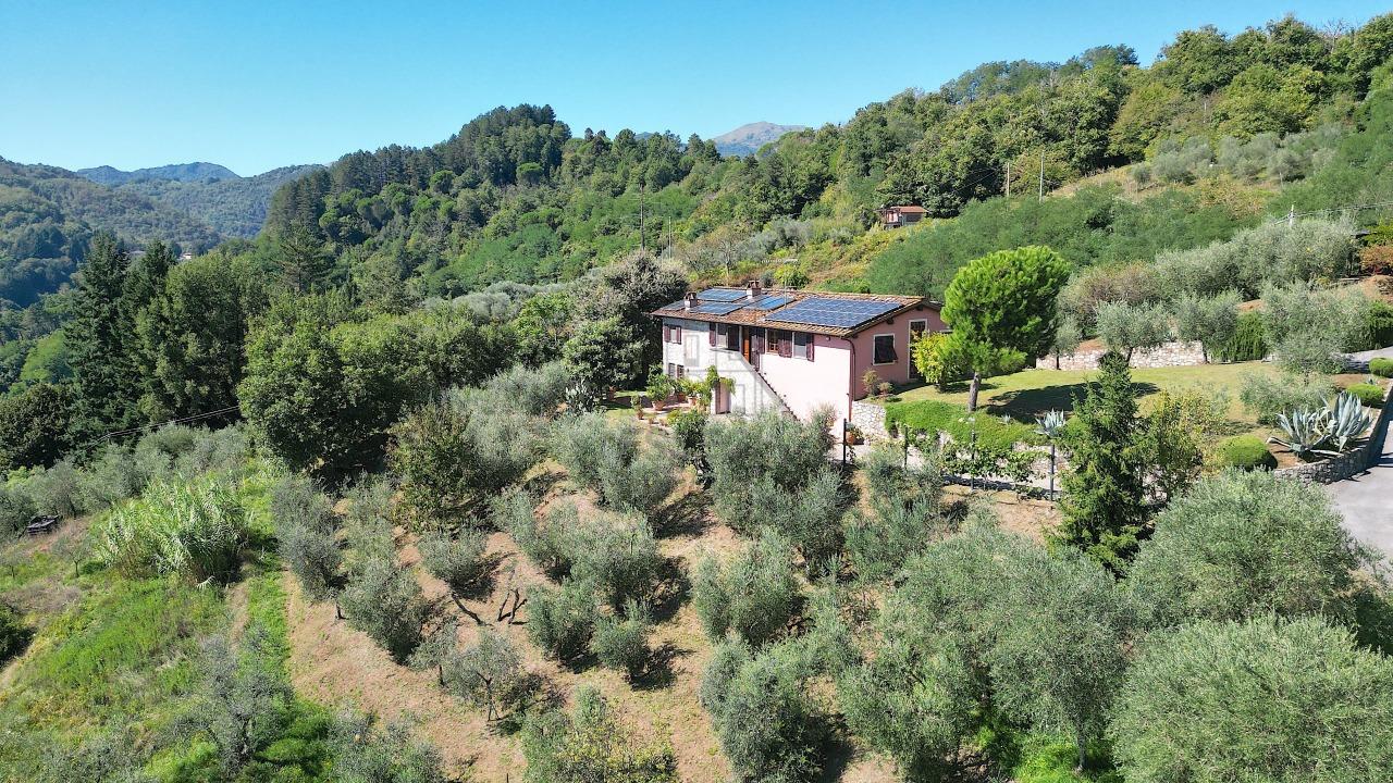 Vendita Multivani, Borgo a Mozzano foto