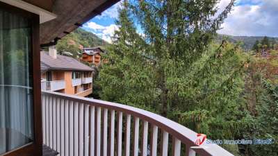 Vendita Trivani, Ponte di Legno