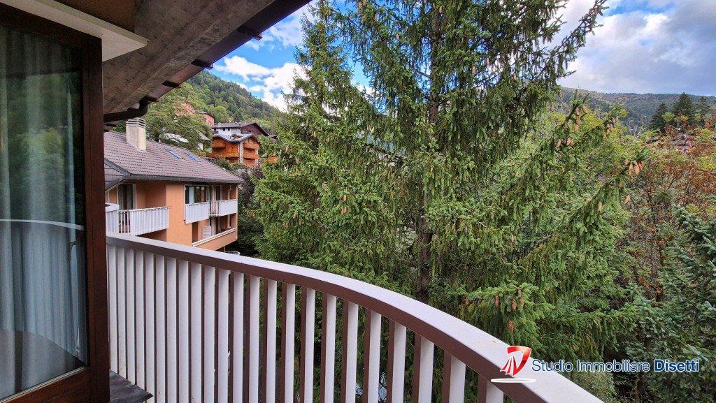 Vendita Trivani, Ponte di Legno foto