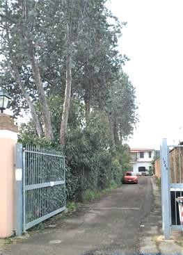 Vendita Villa, Roma foto