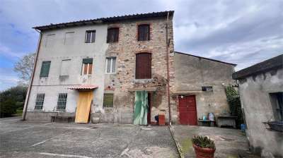 Vendita vendita, Lucca