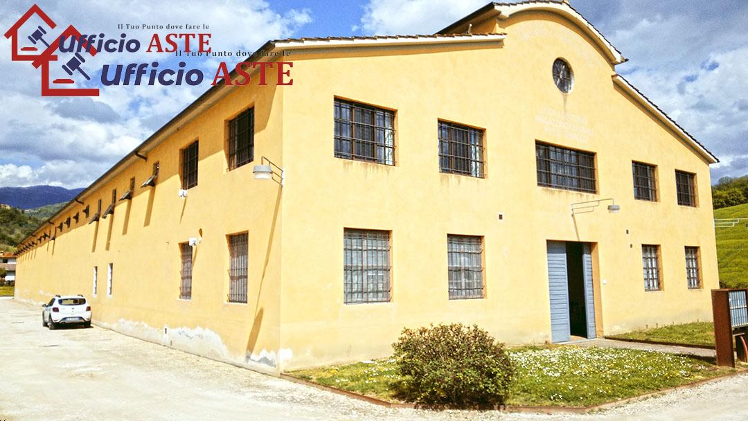 Vendita vendita, Terranuova Bracciolini foto
