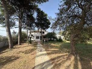 Vendita Multivani, Mazara del Vallo Vendita Multivani, Mazara del Vallo