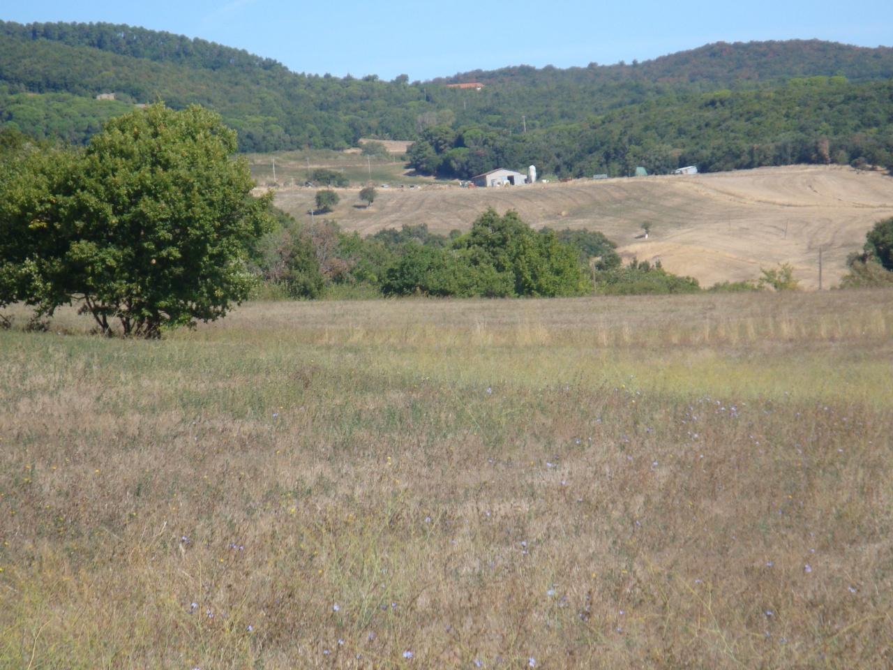 Vendita Altri immobili, Riparbella Vendita Altri immobili, Riparbella foto