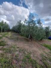 Vendita Altri immobili, Quarrata