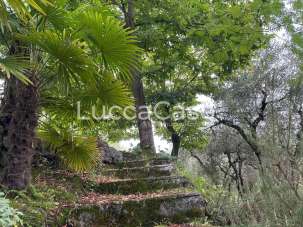 Vendita Rustico, Borgo a Mozzano Vendita Rustico, Borgo a Mozzano